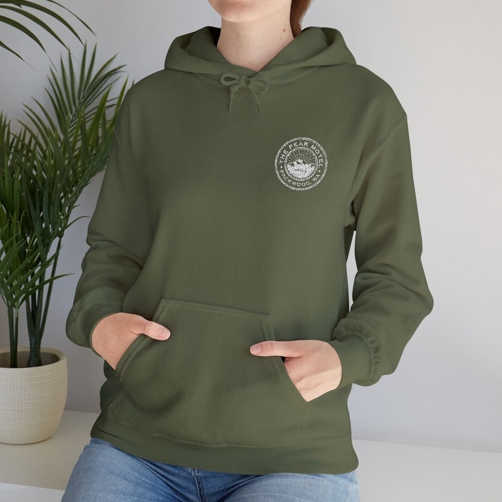 Embroidered Hoodie - Unisex/White logo