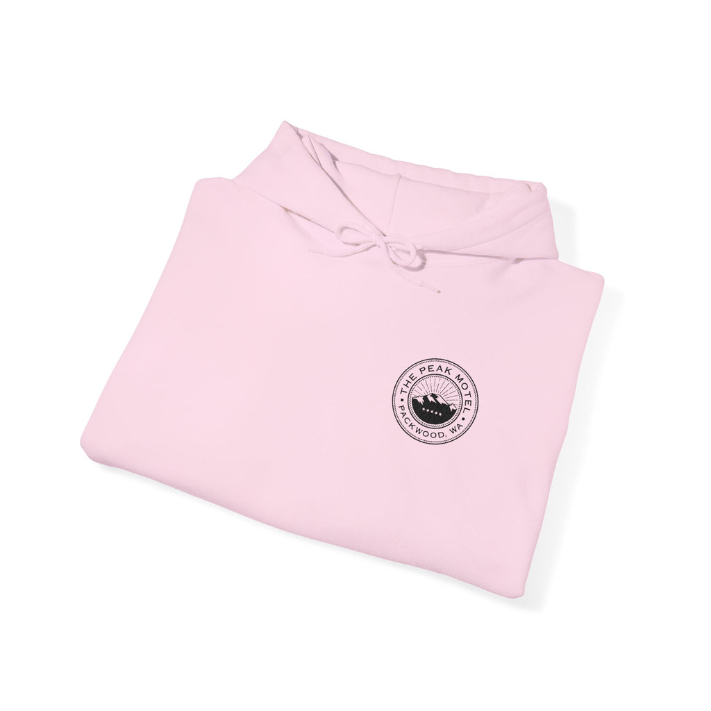 Embroidered Hoodie - Unisex/ Black logo